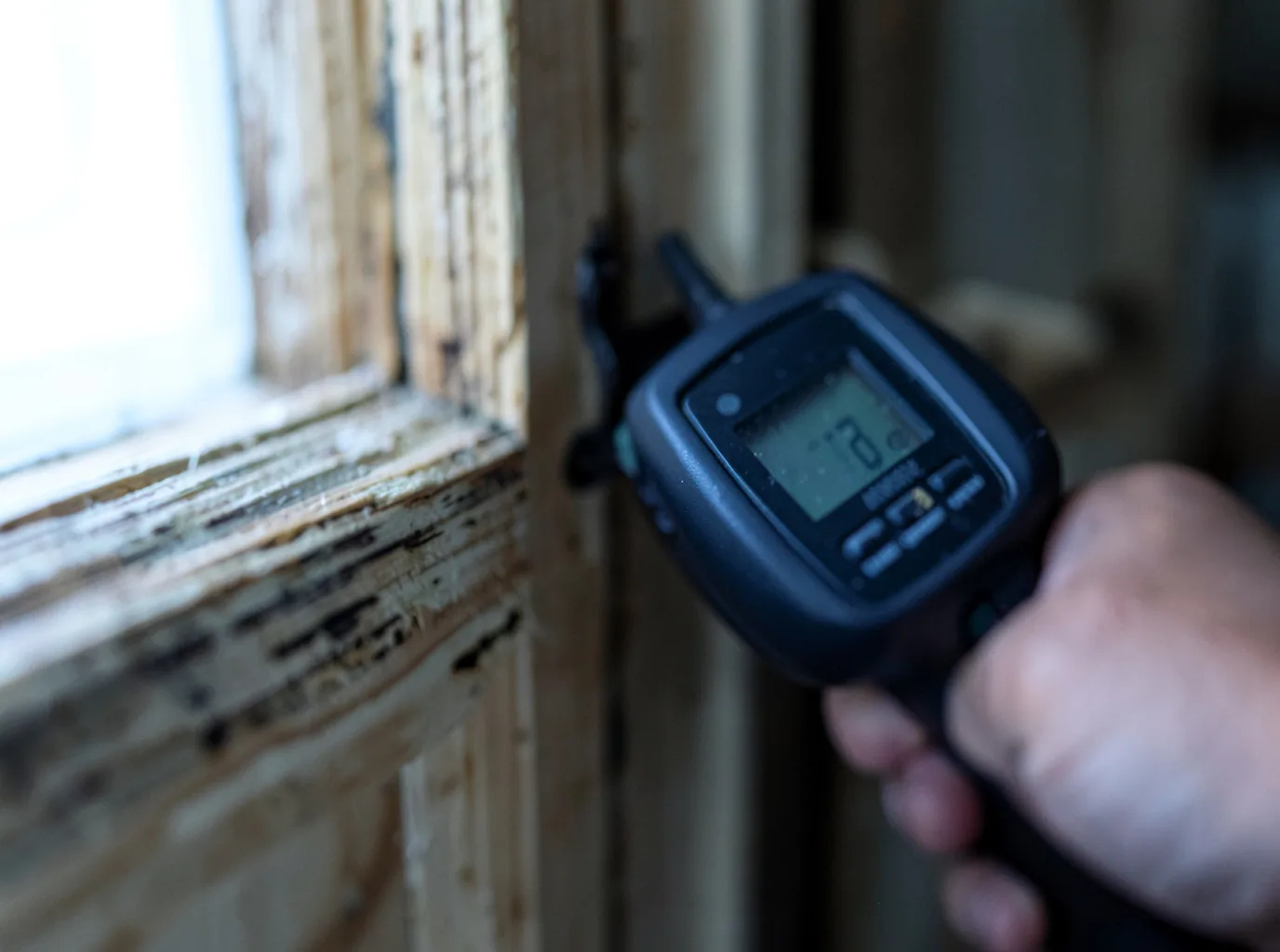 Moisture Inspection And Documentation in Temperance, MI
